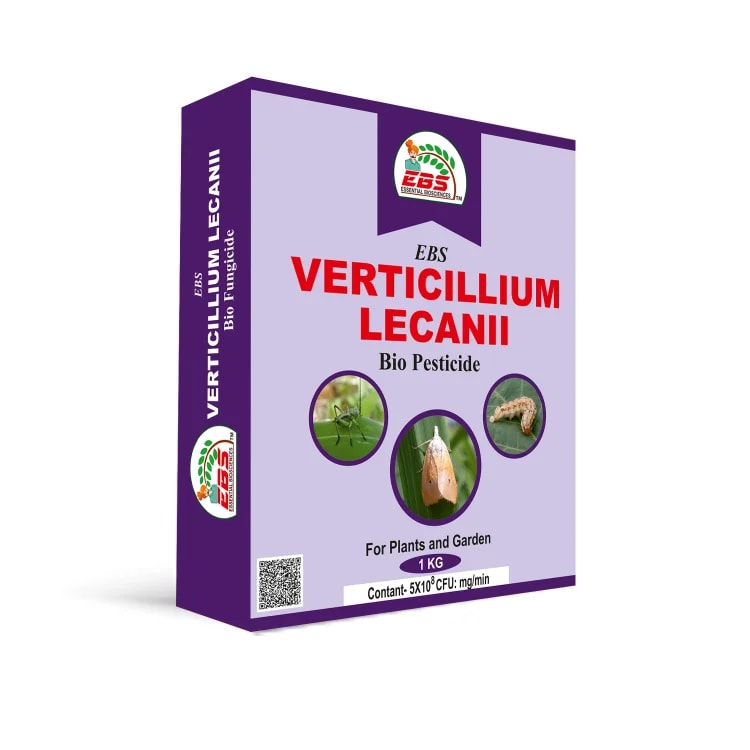 EBS Verticillium Lecanii Bio Pesticide, Used to Make Biological Insecticide, It Is Primarily Used to Control Aphid, Whiteflies