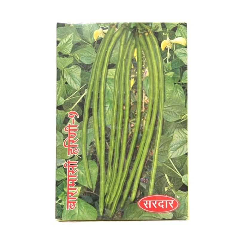 Sardar Baramasi Harini-9 Hybrid Cowpea Seeds, Multi-Picking And Suitable For All Seasons