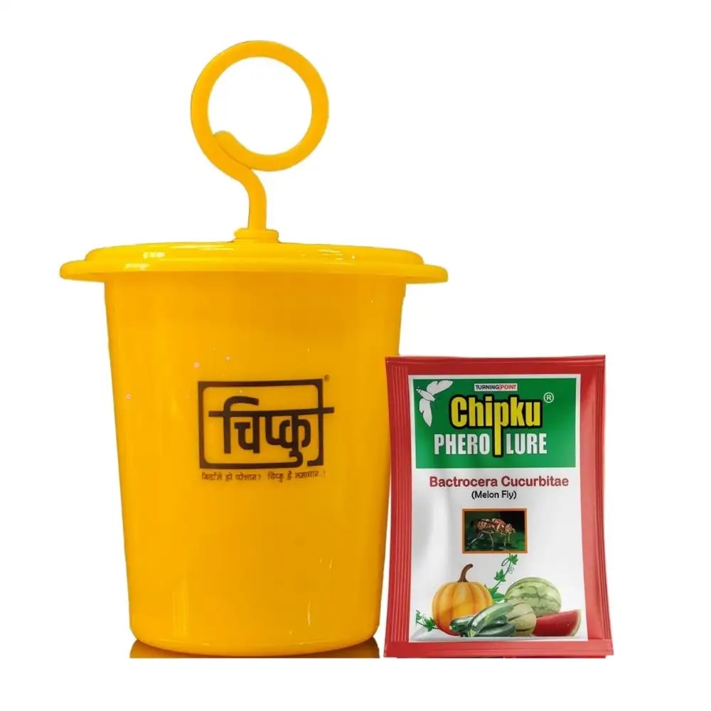 चिपकू - मेलन फ्लाई ल्यूर (बैक्ट्रोसेरा कुकुरबिटे) के साथ फेरोमोन इको ट्रैप, खरबूजे, ककड़ी, टमाटर, तोरी, बीन्स के लिए। जैविक खेती के लिए