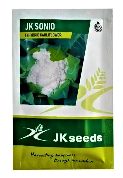 JK Sonio F1 Hybrid Cauliflower Seed, High Yield, Disease Tolerant, Smooth Curd