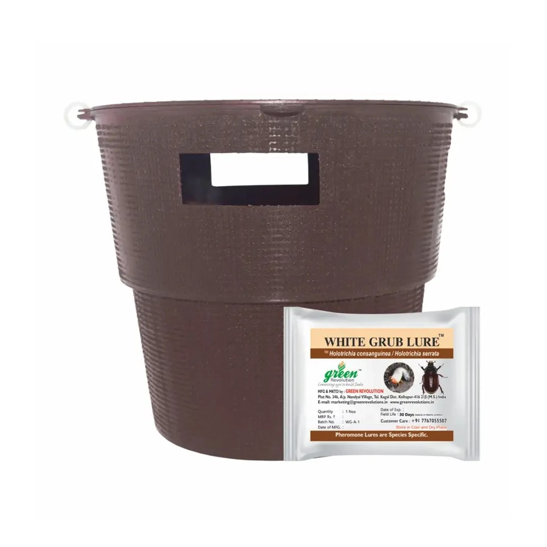 Holotrichia Consanguinea, Holotrichia Serrata Pheromone Trap & Lure, Controlling of White Grub In Sugarcane, Groundnut, Chilli, Guava and Others