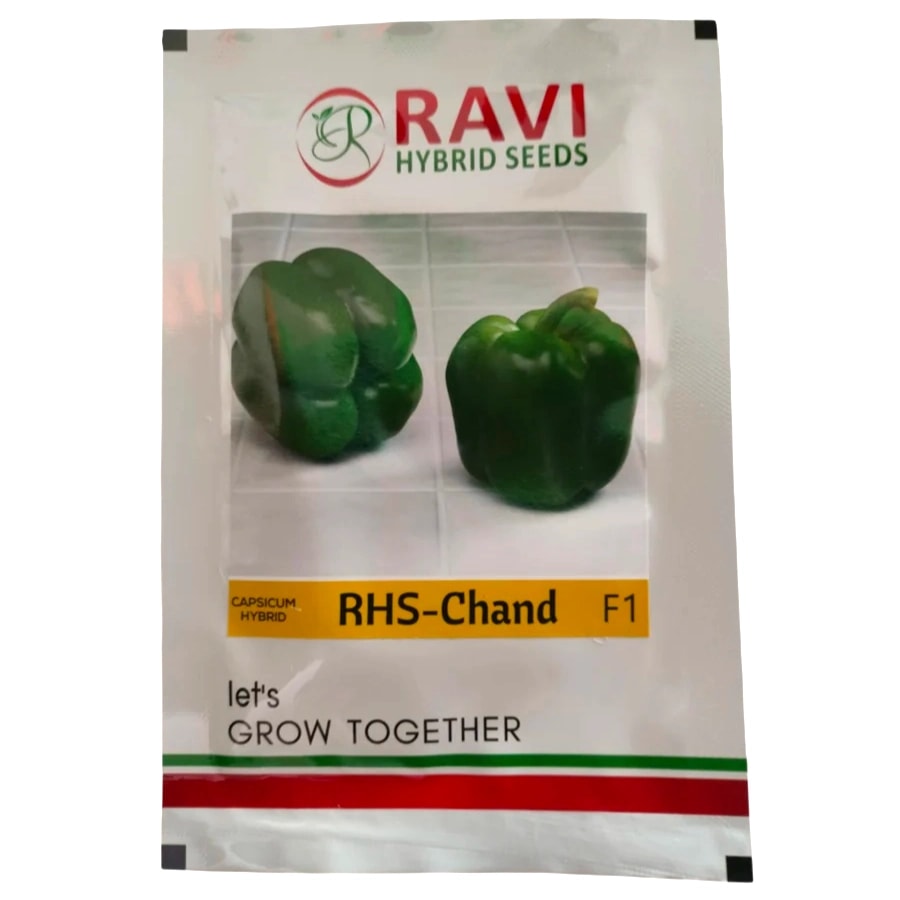 Ravi RHS-Chand F1 Hybrid Capsicum Seeds, High Yield Blocky Red Green Fruits