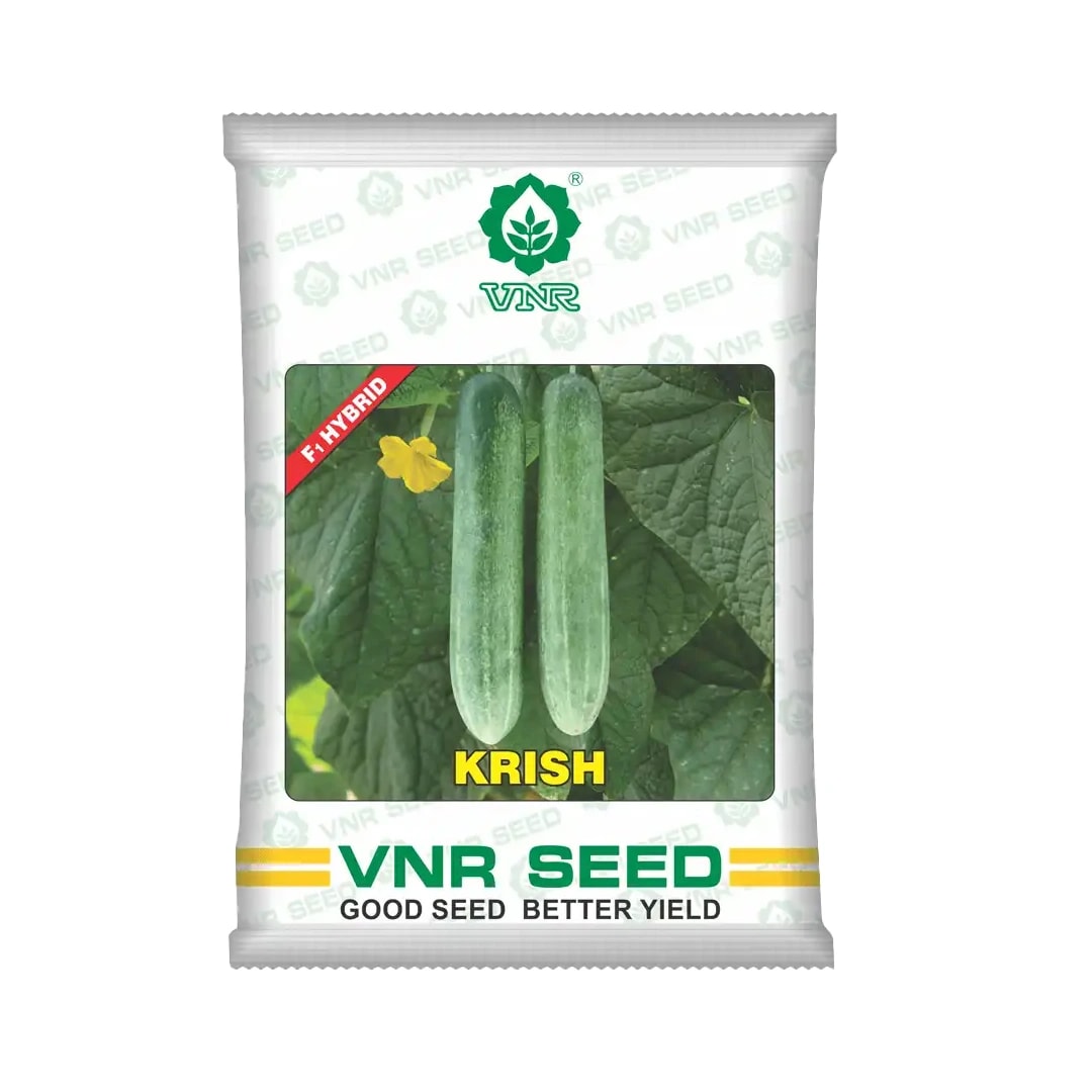 VNR Krish Cucumber (Kheera) Seeds