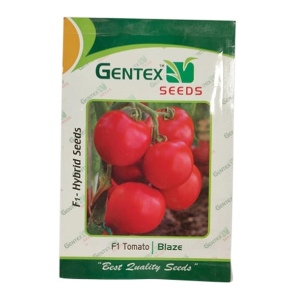 Gentex F1 Hybrid Blaze LQ-116 Tomato Seeds, Tamatar Ke Beej, Tolerant To TLVC And Early Blight.