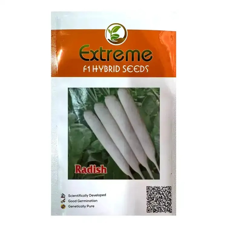 Extreme Mandakini F1 Hybrid Radish, Early Maturity Variety, Semi Erect Plant