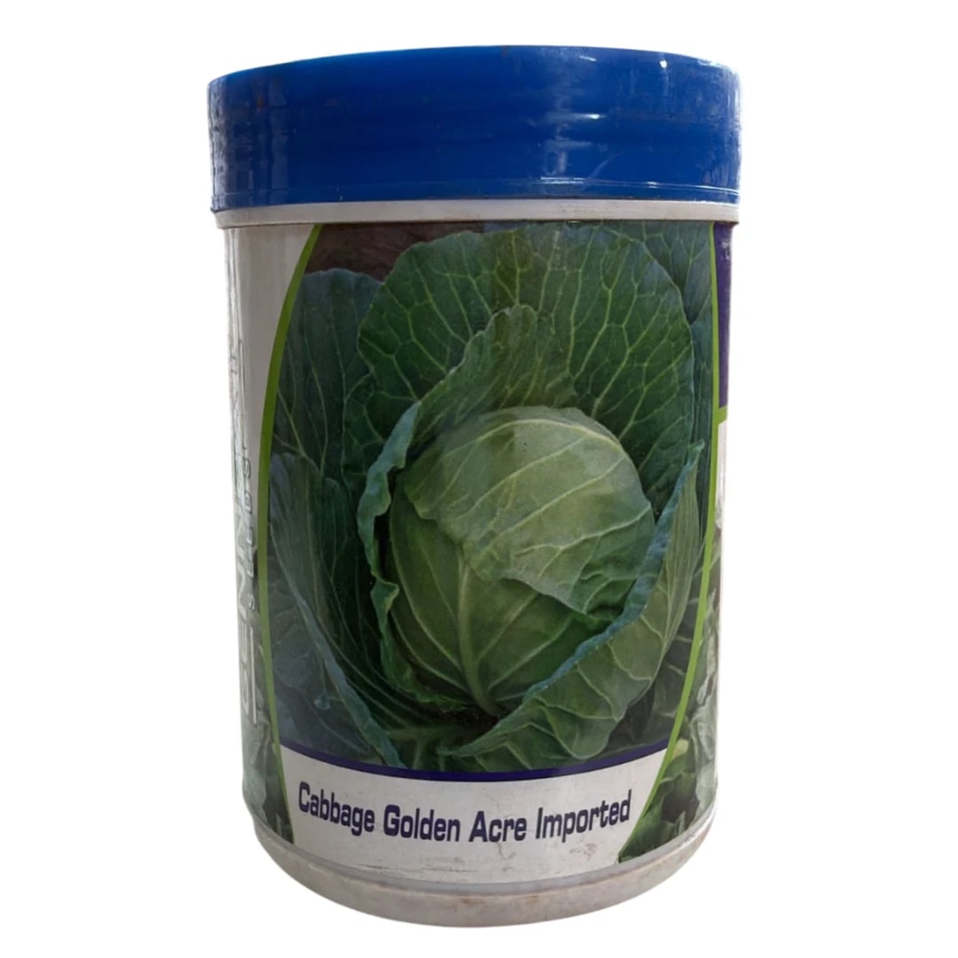 Gennext Golden Acre Imported F1 Hybrid Cabbage Seeds, Early Maturity Variety Suitable For Kharif and Rabi Seasons