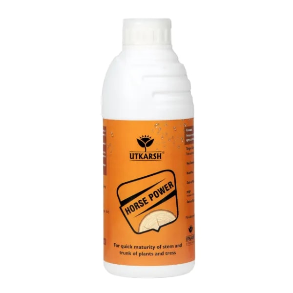 उत्कर्ष हॉर्स पावर - (अमोनियम पॉलीफॉस्फेट उर्वरक MCQ 10:34:00), पौधों और पेड़ों के तने और तने की शीघ्र परिपक्वता के लिए