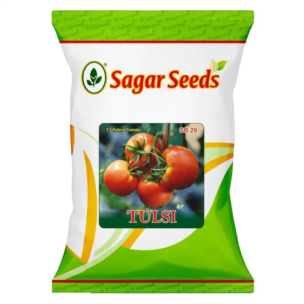 Sagar Tulsi F1 Hybrid Tomato Seeds, High Yield, Wide Adaptability, Oblate Flat Round Fruits