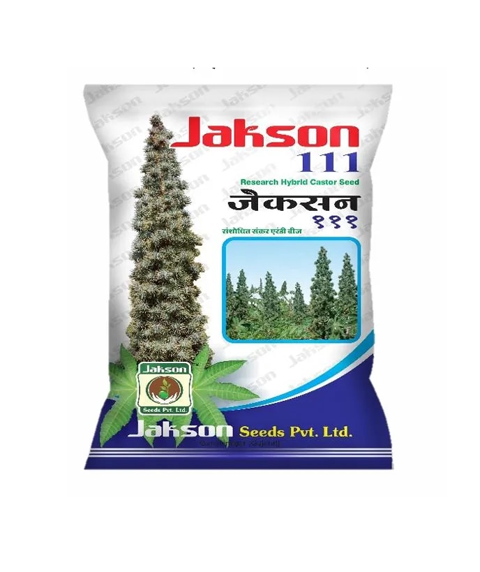 जैकसन सीड्स जैकसन 111 अनुसंधान संकर अरंडी बीज