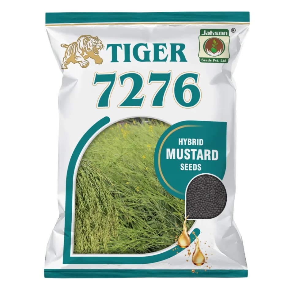 Jakson TIGER 7276 F1 Hybrid Mustard Seeds, High Yield And Oil Content Variety