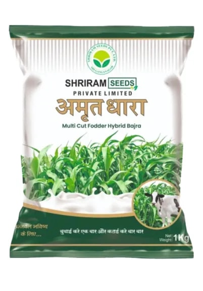 Shri Ram Amrut Dhara Multi Cut Fodder Hybrid Bajra Seeds