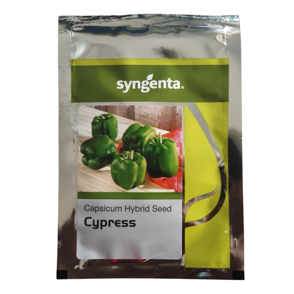 Syngenta Cypress Capsicum Seeds