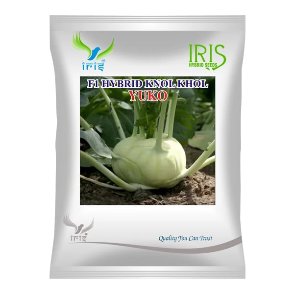 Iris YUKO F1 Hybrid Knol Khol Seeds, Semi-Globe, Early Harvest