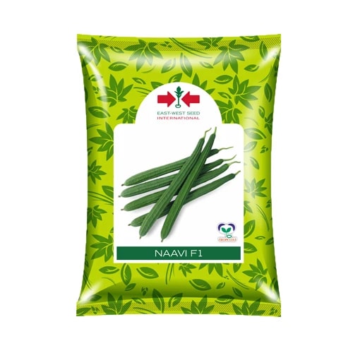East West Naavi F1 Ridge Gourd Seeds - (Turai Seeds)