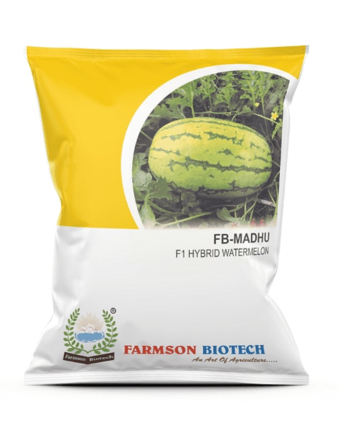 Farmson FB-Madhu Watermelon Seeds - (Tarbuj Seeds) Jubilee Type For High Yield & Disease Resistance