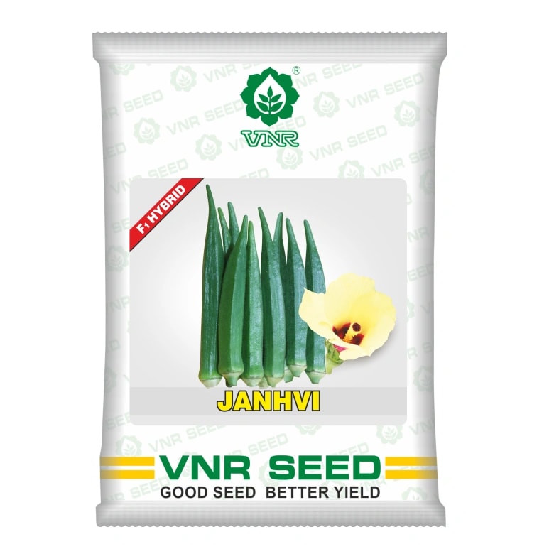 VNR Janhvi Bhindi (Okra) Seeds