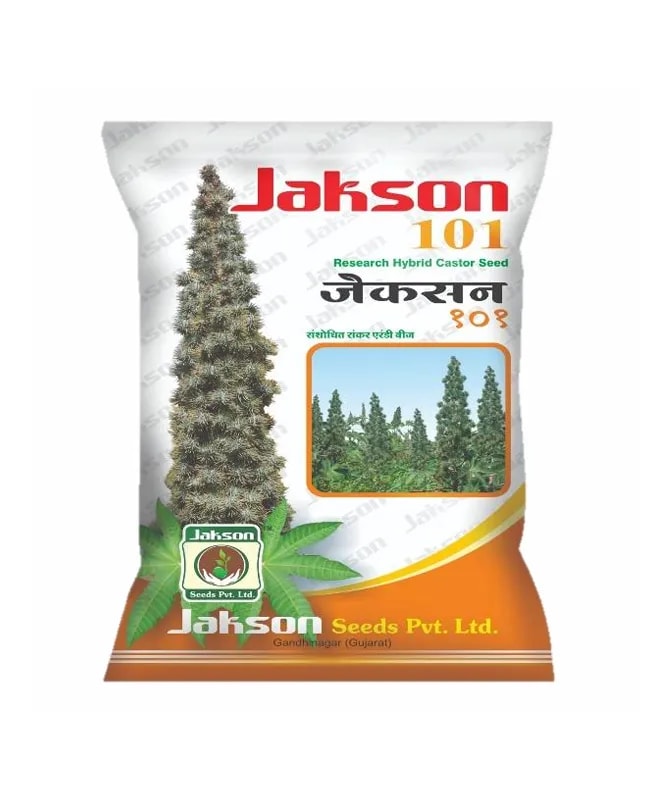 Jakson Seeds Jakson 101 Research Hybrid Castor Seed