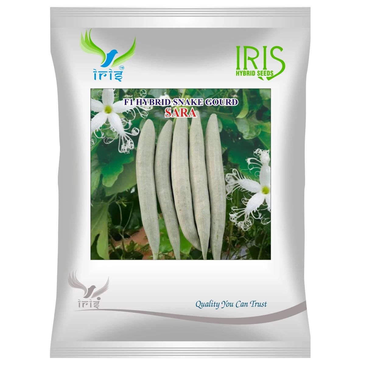 Iris SARA F1 Hybrid Snake Gourd Seeds, High Yield Vigorous Vine, Light Green with White Stripes