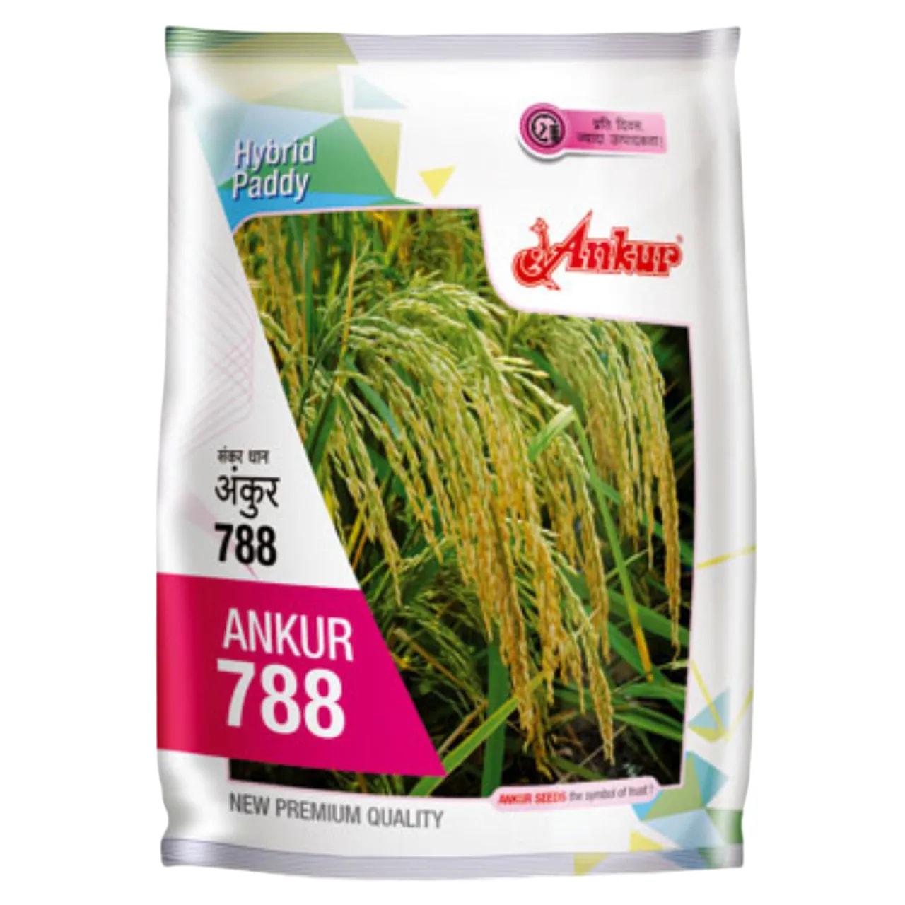Ankur 788 F1 Hybrid Paddy Seeds, Early Duration, Strong Plant, Long Slender Grain