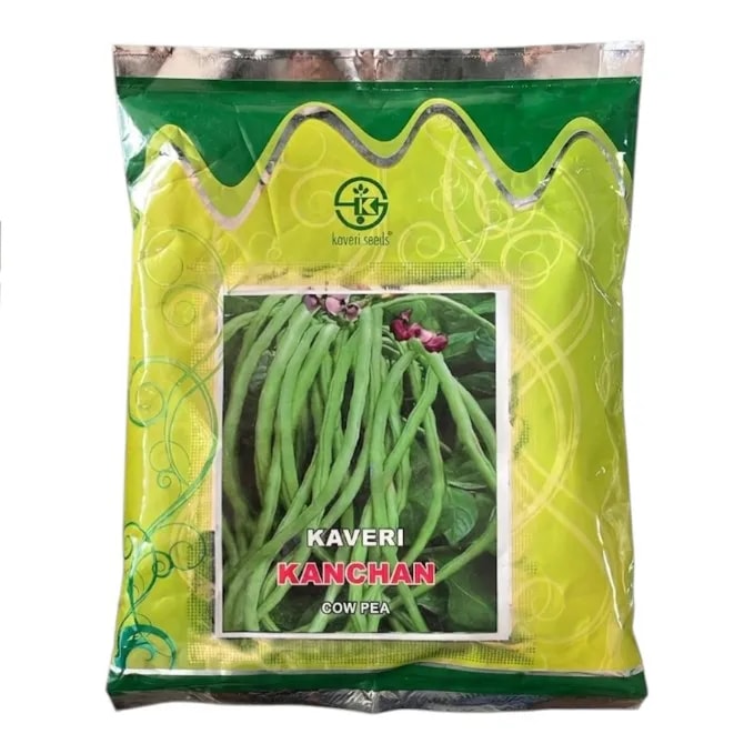 Kaveri Kanchan Cowpea Seeds