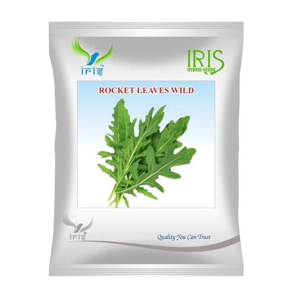 Iris OP Rocket Leaves Wild Seeds, Edible Leafy Green, Brigh Green, Ideal For Salads, Garnishes, and Culinary Use