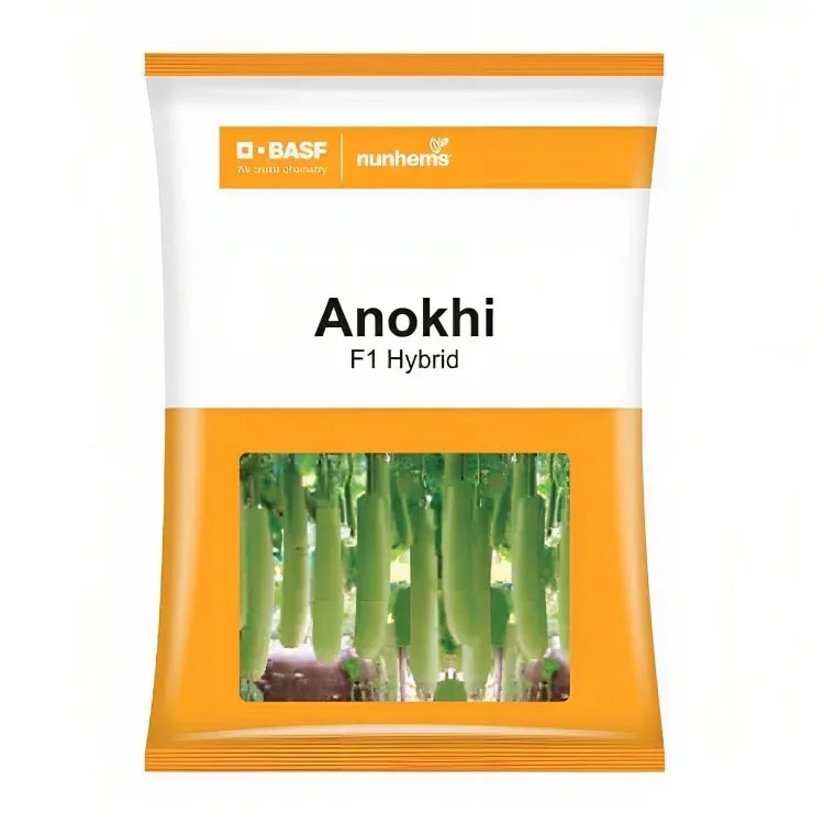 BASF Nunhems Anokhi F1 Hybrid Bottle Gourd Seeds