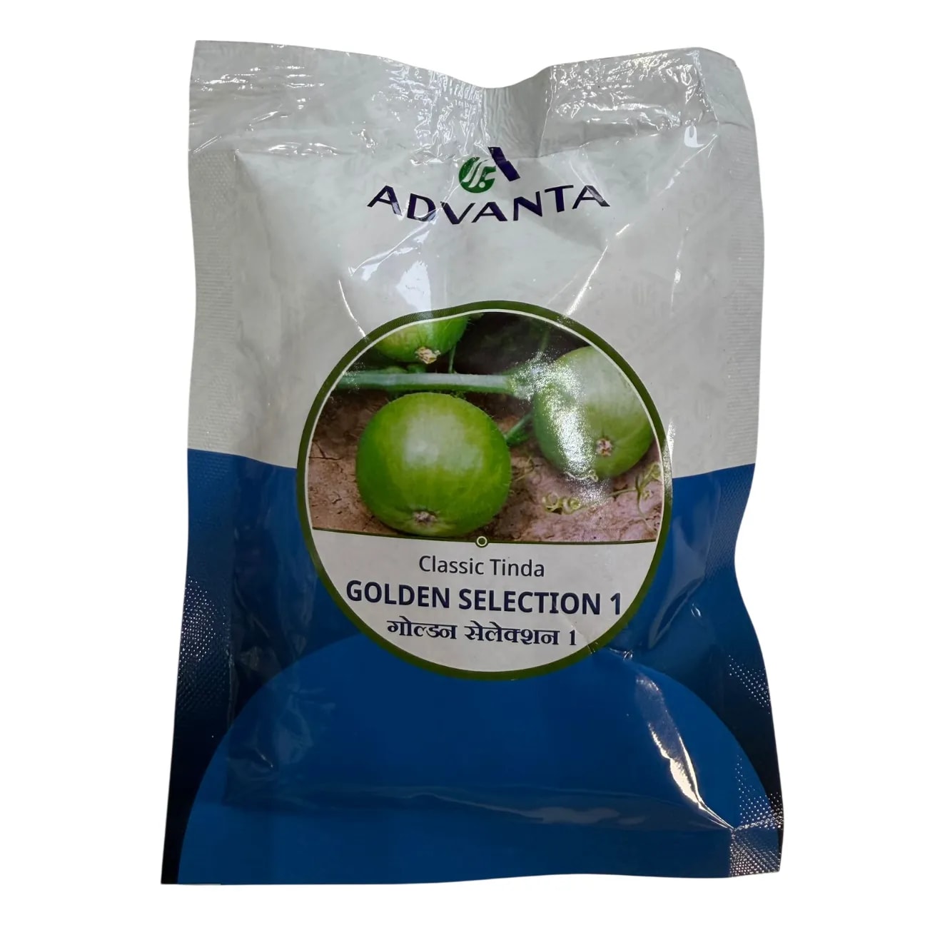 Advanta GOLDEN SELECTION 1 Classic Tinda Seeds, Uniform Green Round Fruit
