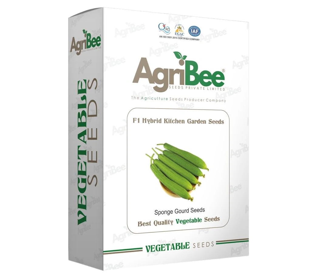 AgriBee F1 Hybrid Sponge Gourd Seeds Pack Of 10 Pouches For Kitchen Garden (5gm x 10)