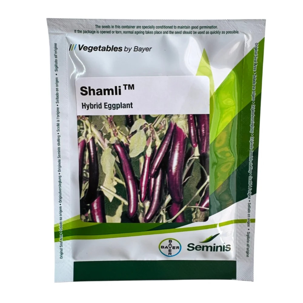 Seminis Shamli F1 Hybrid Eggplant Seeds, Brinjal Seeds, Long Purple Fruits, Early Harvesting Variety