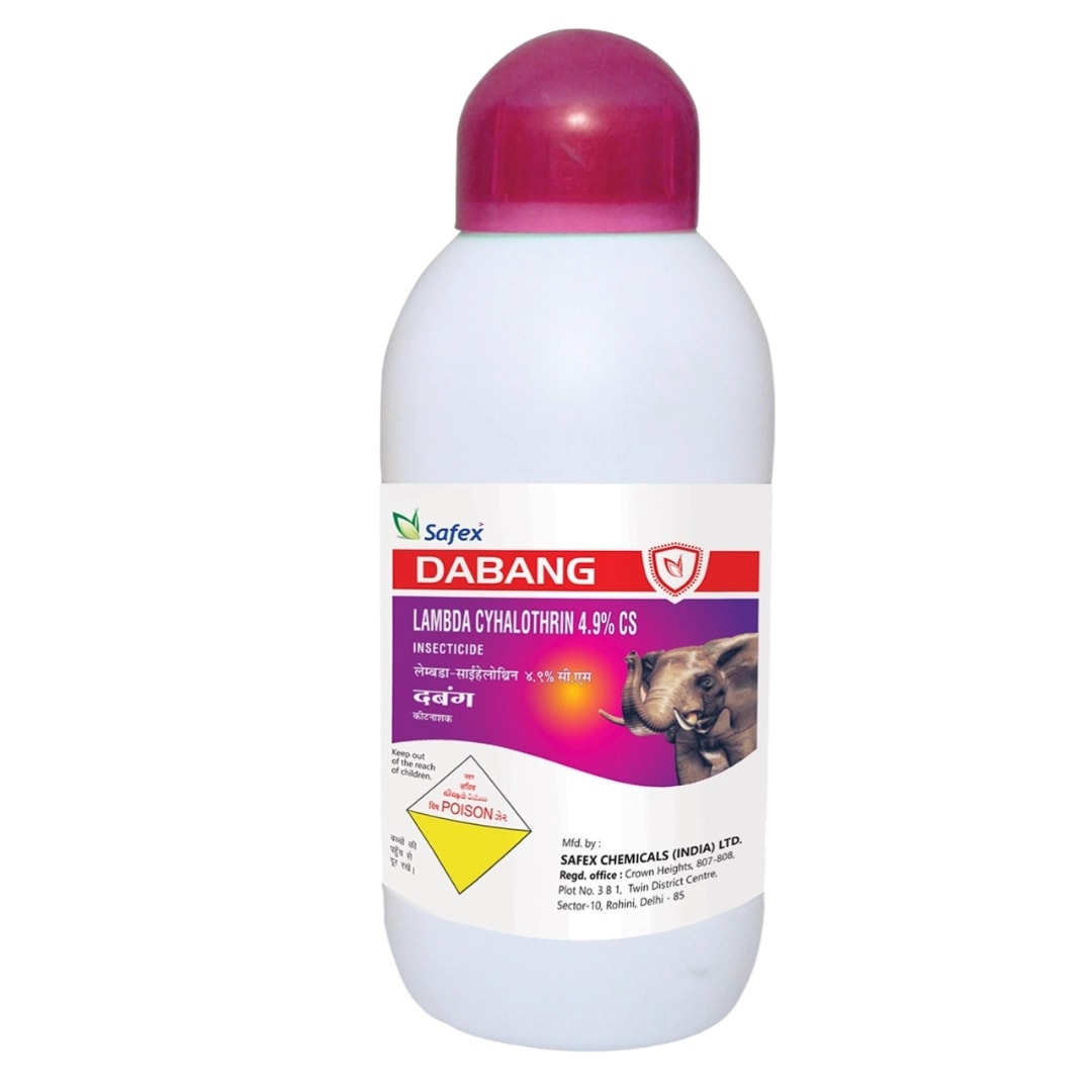 Safex Dabang Insecticide