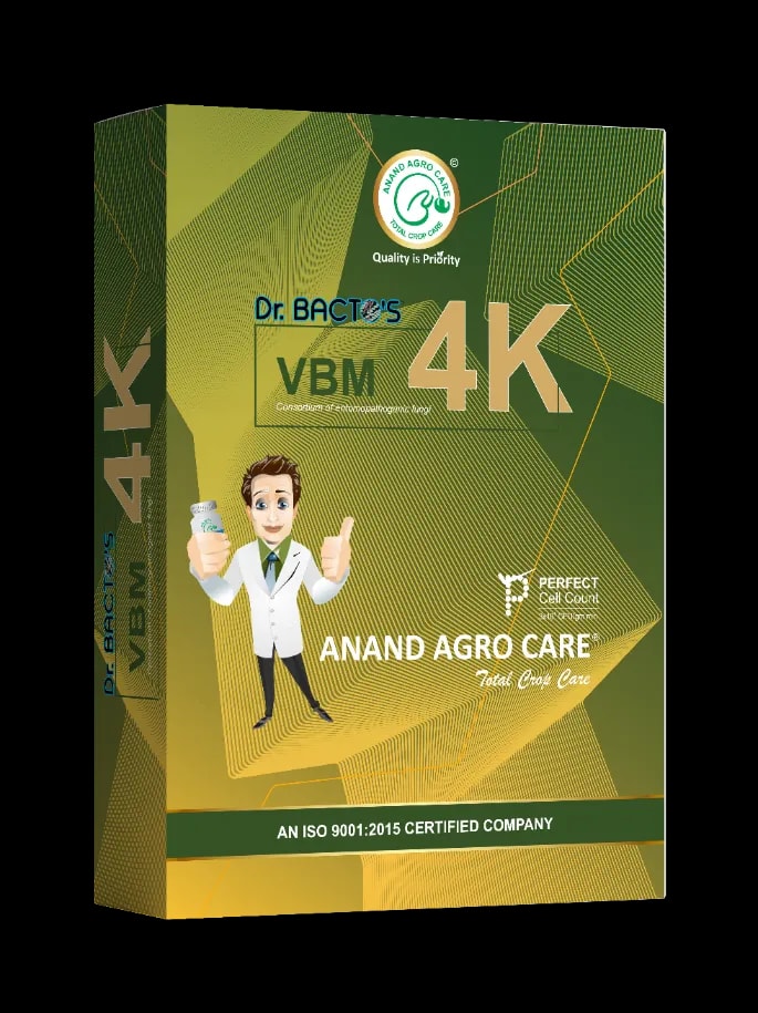 Dr. Bacto\'s VBM 4K Culture of Verticillium Lecanii, Beuveria Bassiana and Metarhizium Anisopliae, Used For Biological Control Of Insects