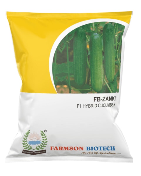 Farmson FB Zanki F1 Hybrid Cucumber Seeds, Fast Growing & High Yielding with Attractive Green Fruits