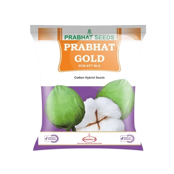 Prabhat Gold PCH 877 BT-2 Hybrid Cotton Seeds, Easy Picking And High Yield (475 Gm)
