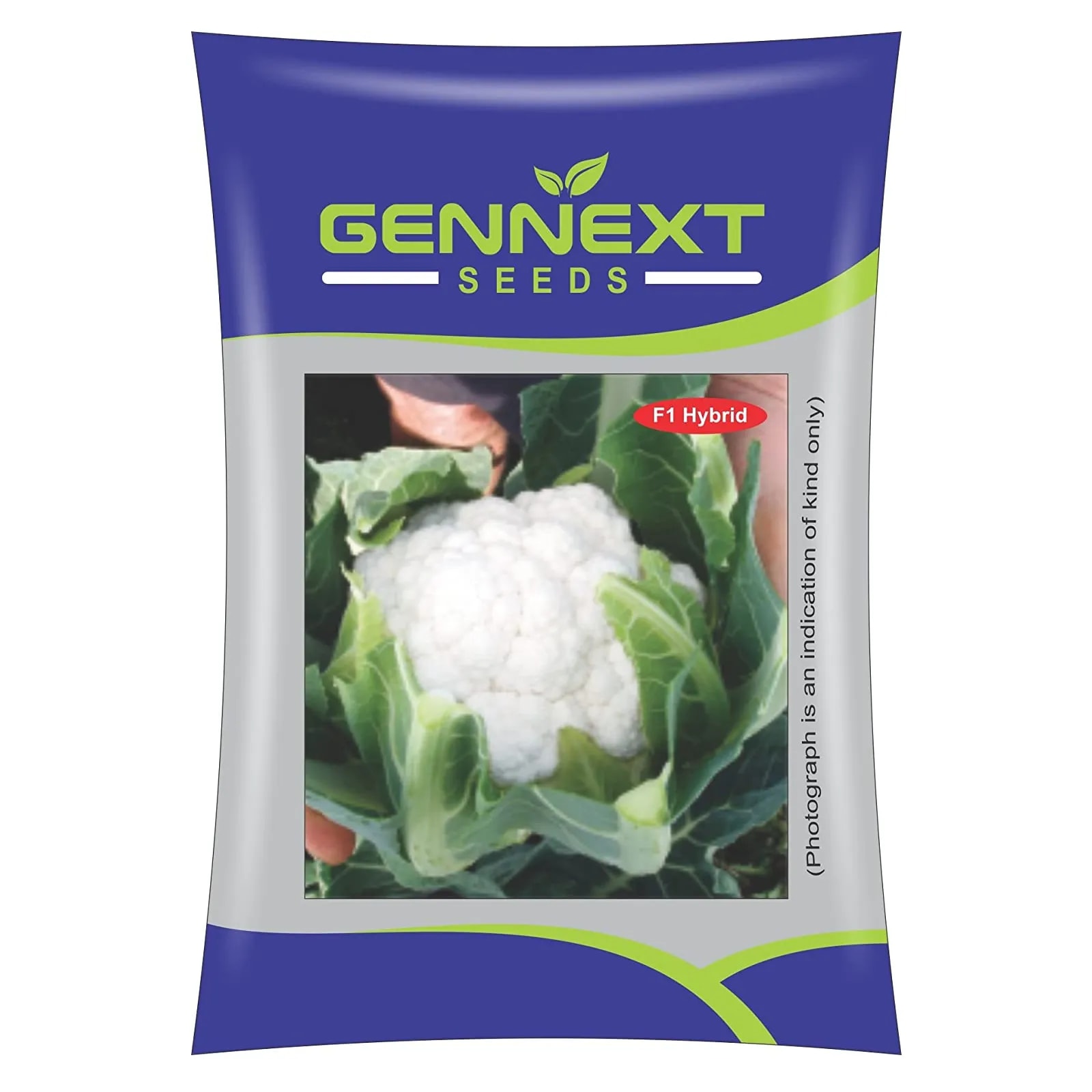 Gennext Snow White-60 F1 Hybrid Cauliflower Seeds, High Yield and Pure White Curd