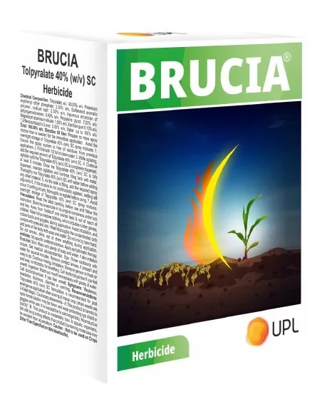 UPL Brucia Tolpyralate 40% SC Herbicide With Surfactant and Atrazine 50% WP