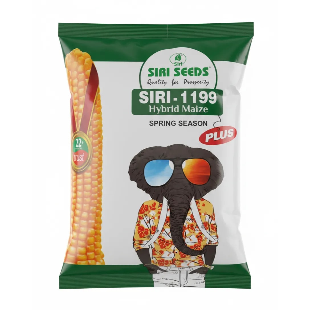 SIRI-1199 Maize Seeds - (Makka Seeds) High Yield, Stay-Green Strong Stalk Variety
