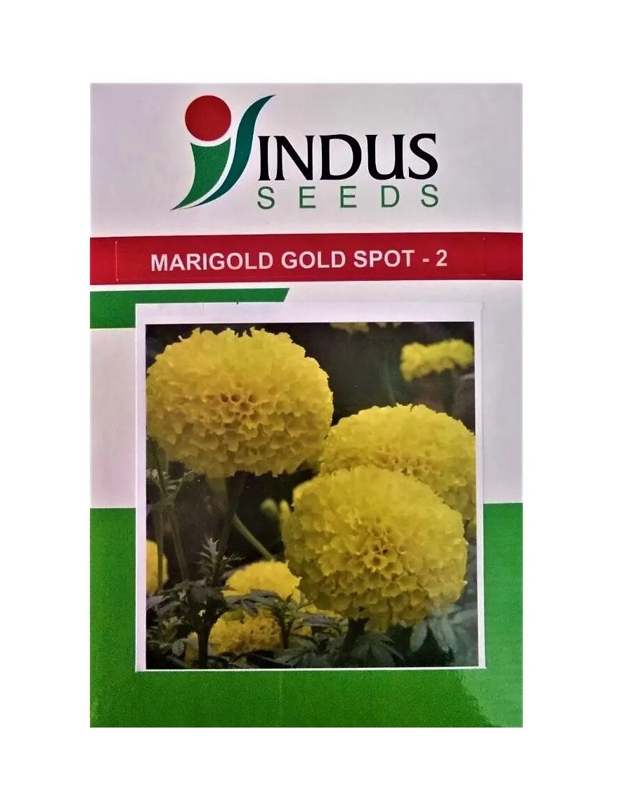Indus Gold Spot 2 F1 Hybrid Marigold seed, Compact Lemon Yellow Flower Seeds with High Yield Variety