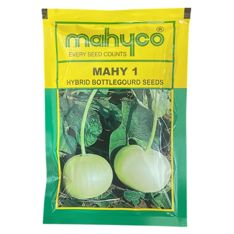 Mahyco Mahy 1 Hybrid Bottle Gourd Seeds, High Yield, Light Green, Flat Round Shape