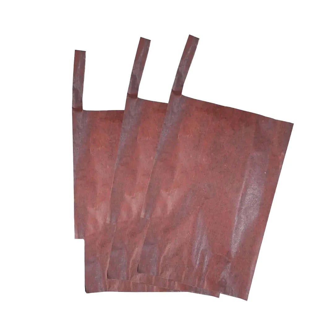 Radhe Mango Protection Bag