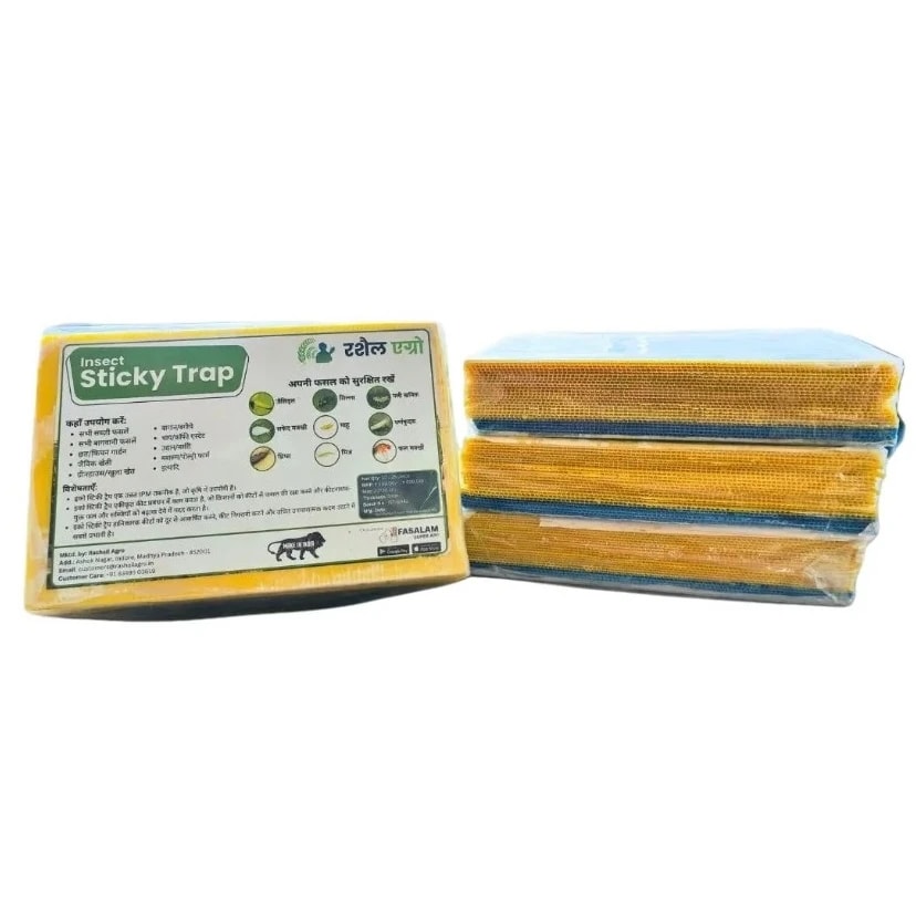 Rashail Insect Stick Trap, IPM Glue Trap - 200 x 150 x 3mm, A5 Size, Combo Of Yellow and Blue Sticky Trap For The Insects (10 Sheets)