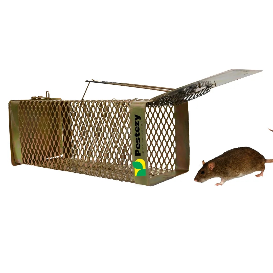 Pestezy Mouse Or Rat Trap Cage, Humane, Durable, Safe And Easy to Use, Cross Design, Allowing For Safe Release