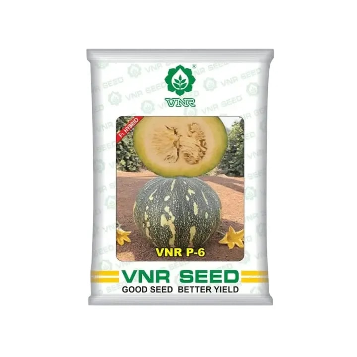 VNR P-6 F1 Hybrid Pumpkin Seeds, Kaddu Ke Beej, Attractive Yellow Flesh, Early Maturity 