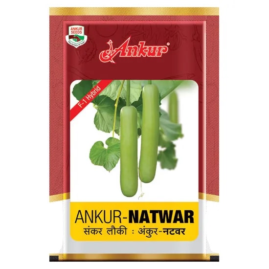 Ankur NATWAR F1 Hybrid Bottle Gourd Seeds