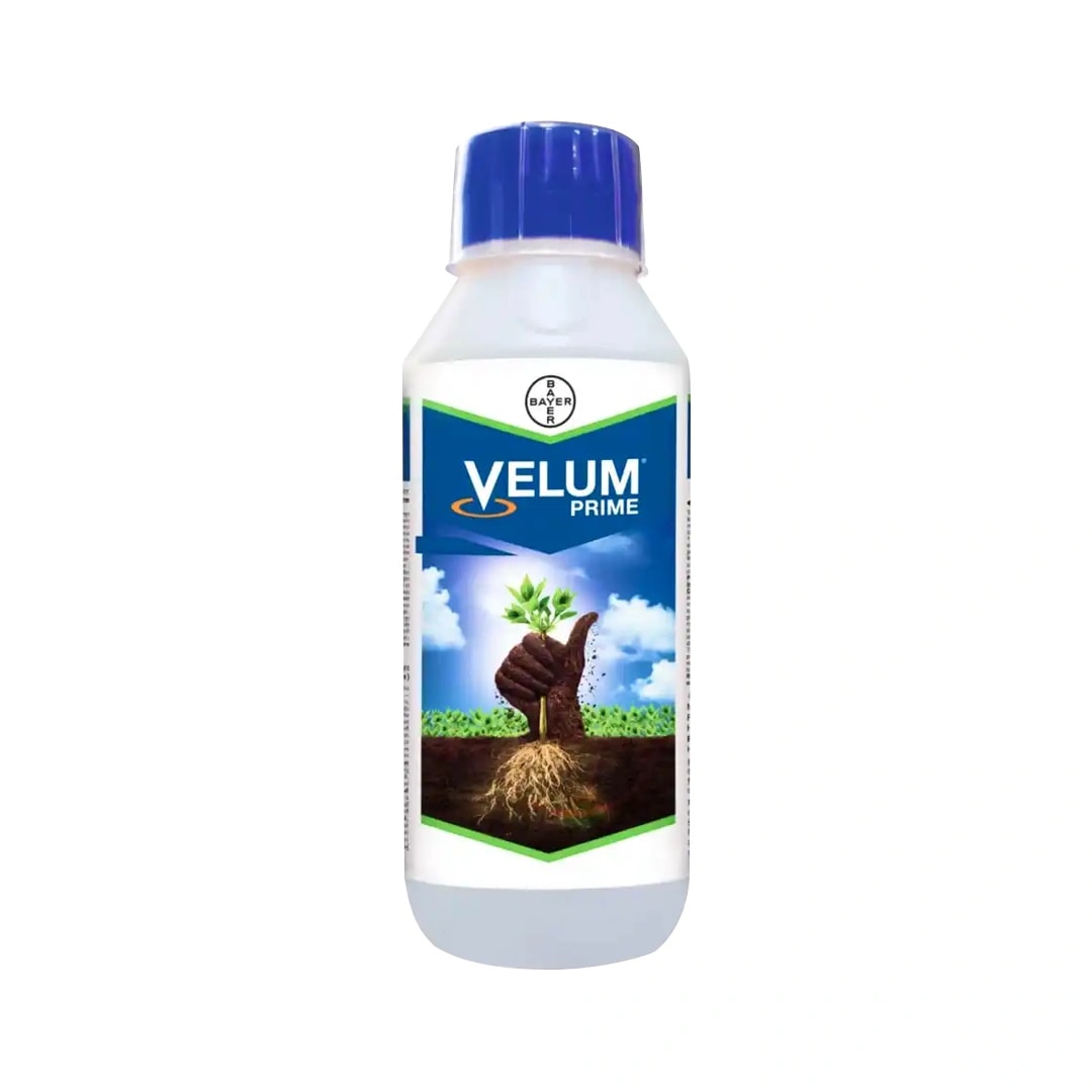 Bayer Velum Prime Nematicide