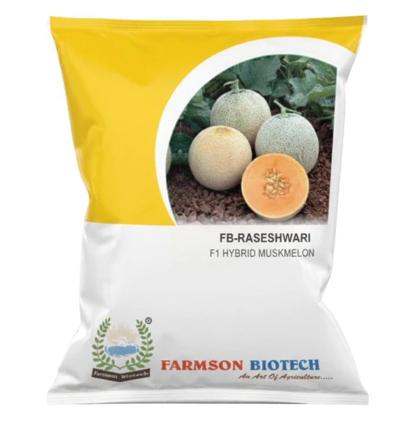 Farmson FB-RASESHWARI F1 Hybrid Muskmelon Seeds, High Sweetness Variety