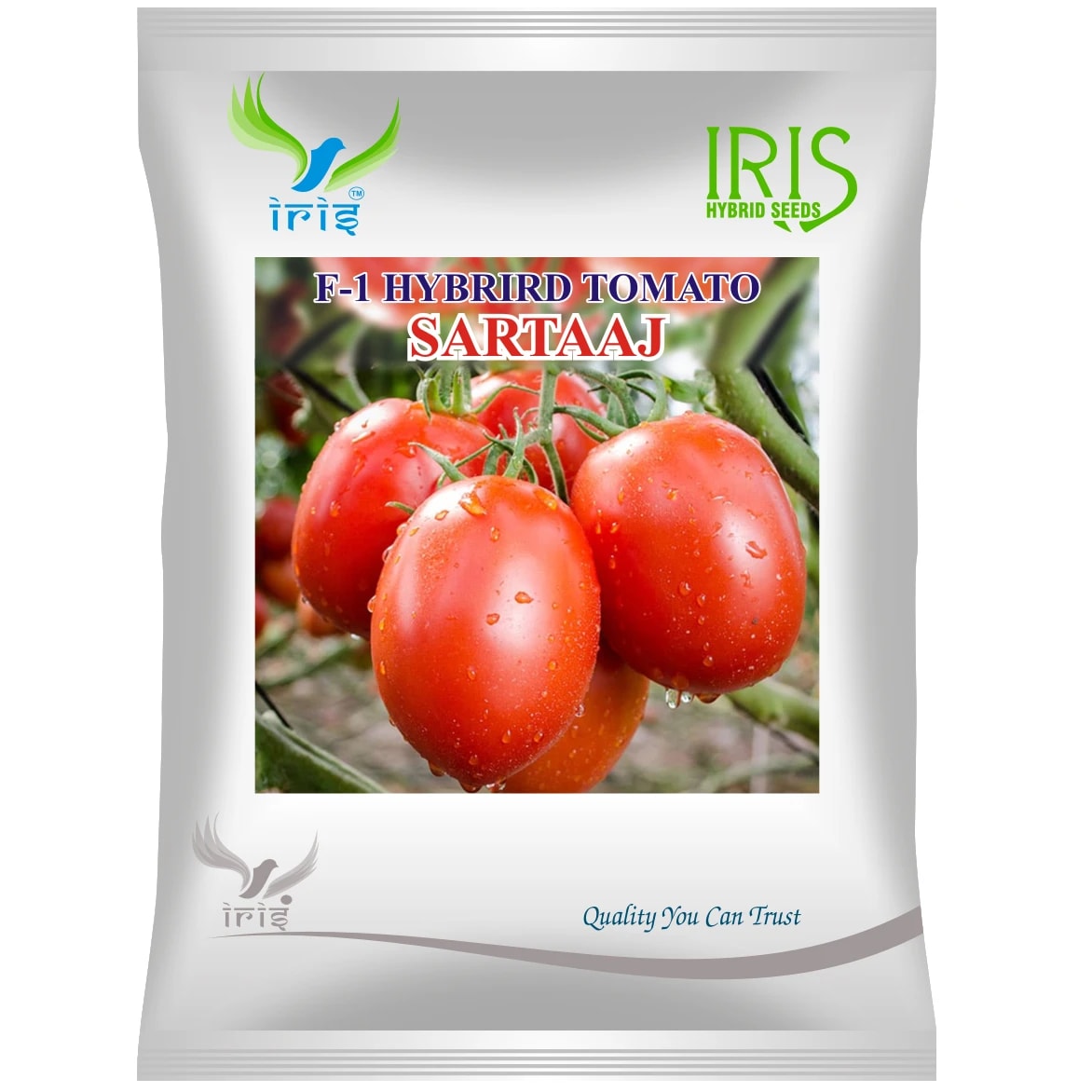 Iris SARTAAJ F1 Hybrid Tomato Seeds, Early Maturing, TYLCV & Bacterial Wilt Tolerant