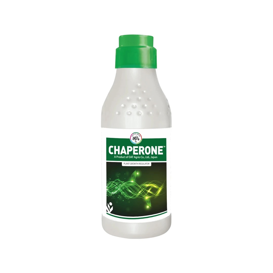 IIL CHAPERONE Sodium Para Nitro Phenolate 0.3% SL Plant Growth Promoter, Enhances Crop Growth