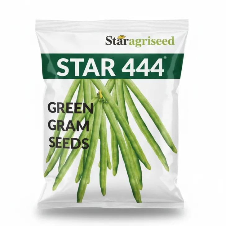 Star Agri STAR 444 Green Gram Seeds, High Yield Protein Rich Moong Variety
