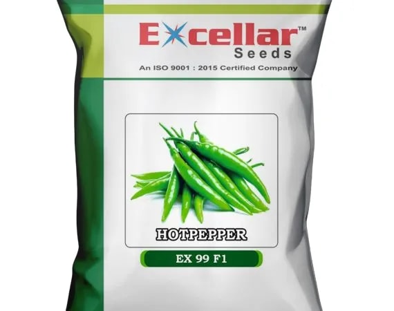 Excellar EX 99 F1 Hot Pepper Seeds, High Yielding, High Pungency and Fast Maturity
