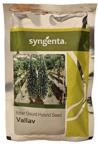 Syngenta Vallav Hybrid Bitter Gourd Seeds